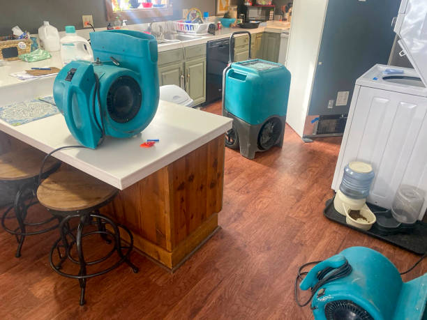 Best Mold removal after water damage  in Mililani Mauka, HI