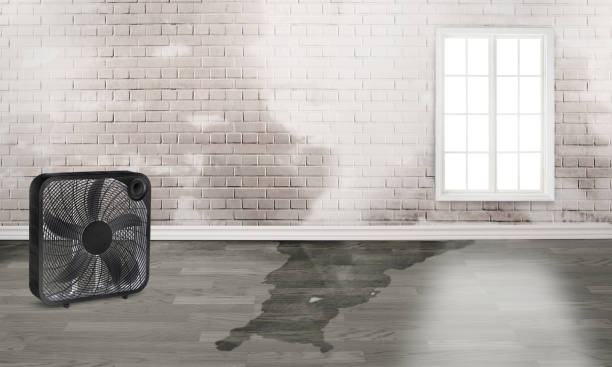 Reliable Mililani Mauka, HI Water damage restoration Solutions
