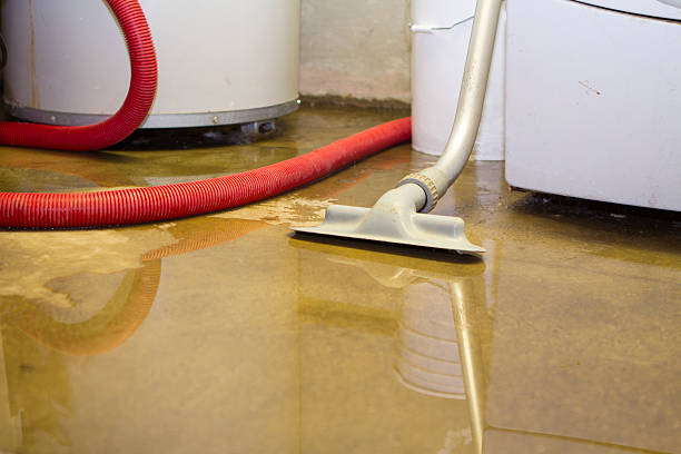 Best Ceiling water damage repair  in Mililani Mauka, HI