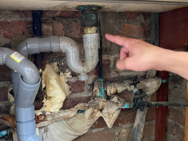 Best Local water damage restoration  in Mililani Mauka, HI