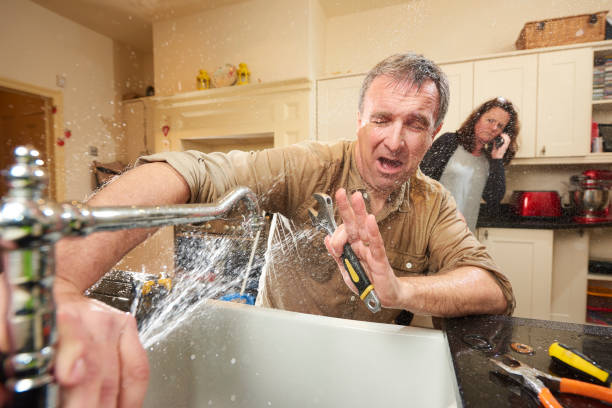 Best Water damage restoration process  in Mililani Mauka, HI